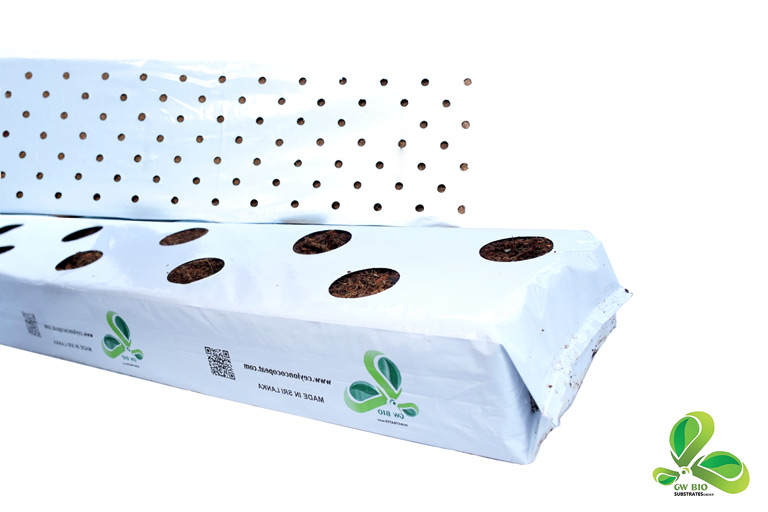 Ceylon coco peat Grow Bags
